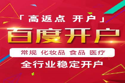 行业领先企业的SEM优化之路